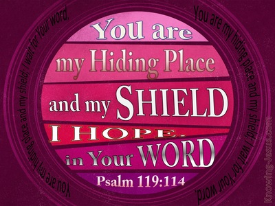 Psalm 119:114 Your Are My Hiding Place (pink)